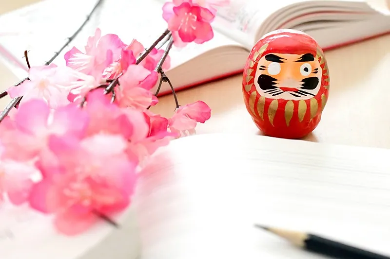 生徒様が合格した学校を一覧で掲載