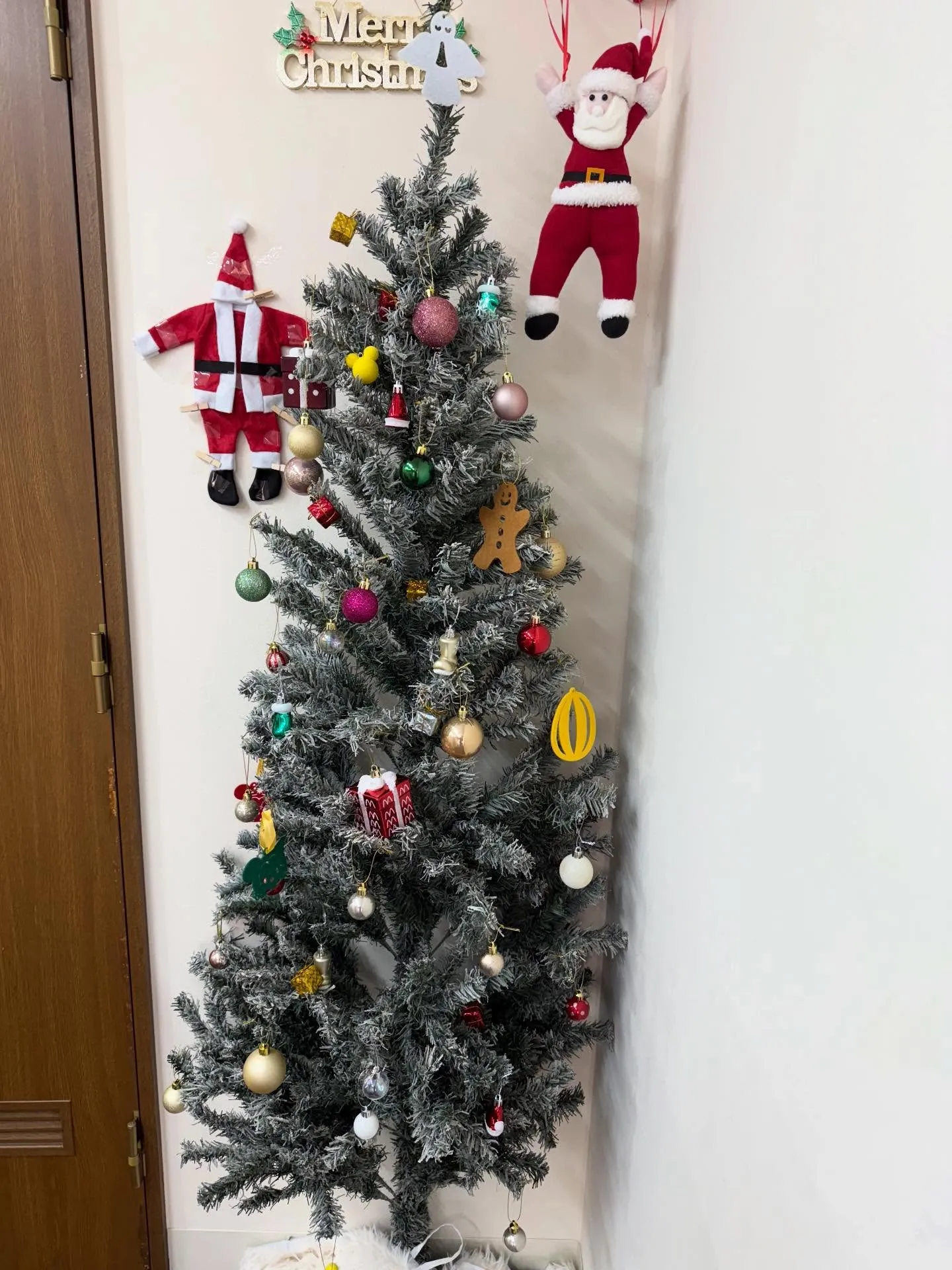 個別指導ウルレアです✏️